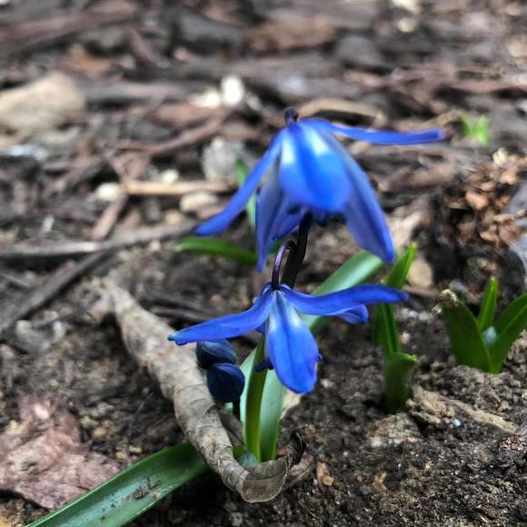 Meet your Posher, Luann - Picture 1 of 1